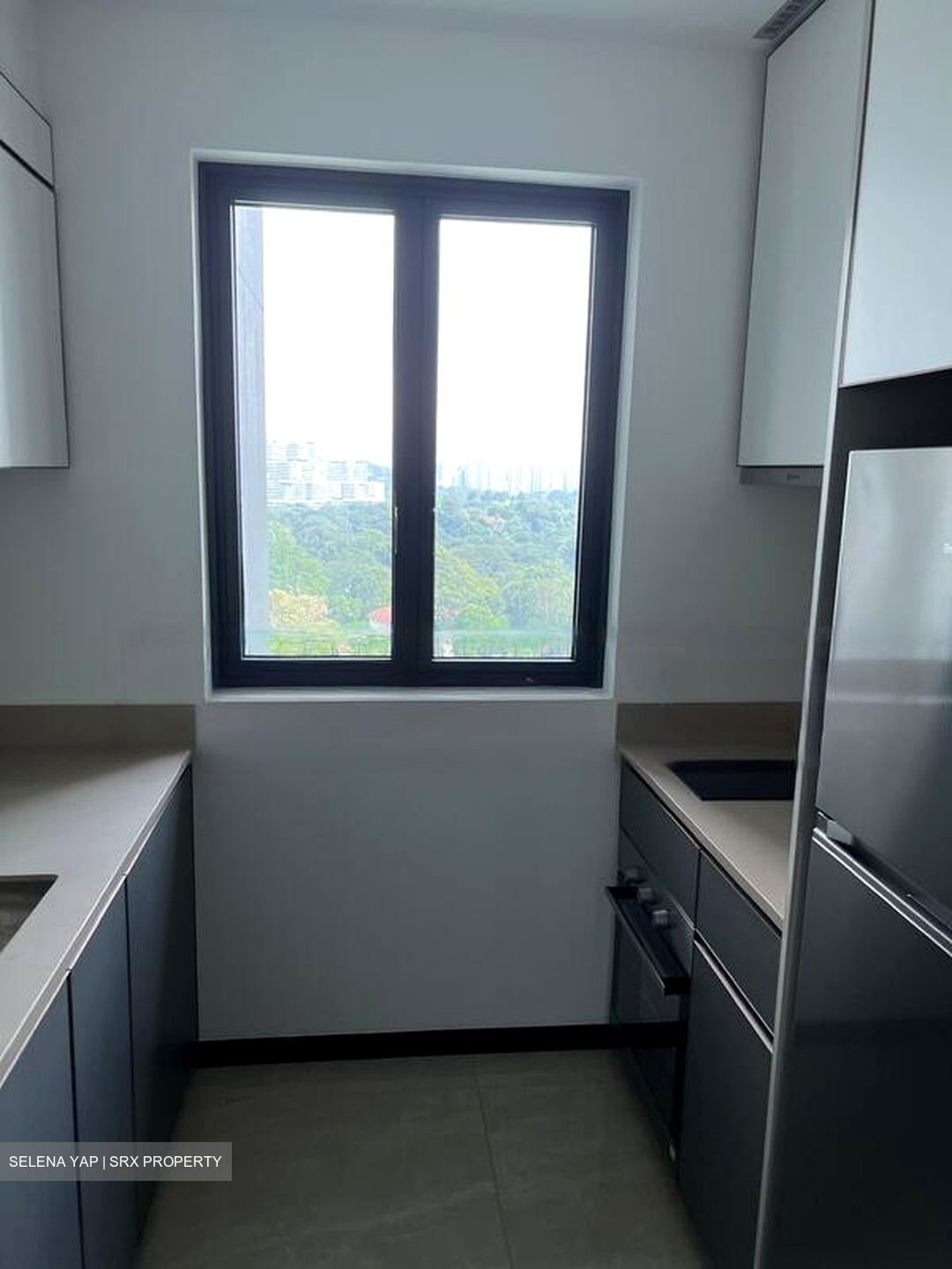 Normanton Park (D5), Apartment #464110701